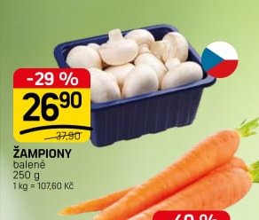 ŽAMPIONY
