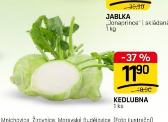 KEDLUBNA