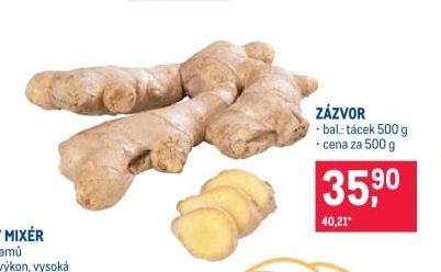 Zázvor