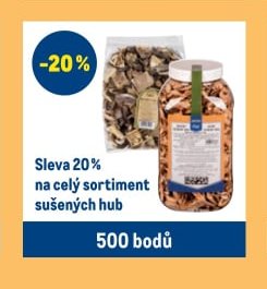 Sortiment sušených hub